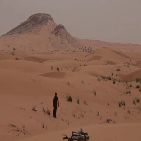 Arab man standing in the desert. Video stock 69485780