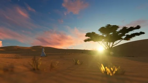 Arab man walking through the desert towards oasis at sunset Stock Footage 107519515