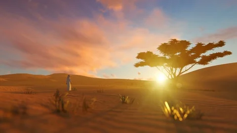 Arab man walking through the desert towards oasis at sunset panning Stock Footage 108088941