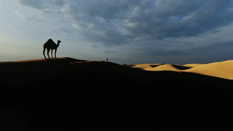 Arab man walking towards a camel in the desert with dunes 스톡 동영상 151000413