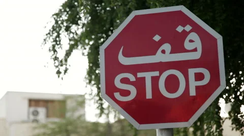 Arab Traffic Signal: Stop  Stock Footage 60197882