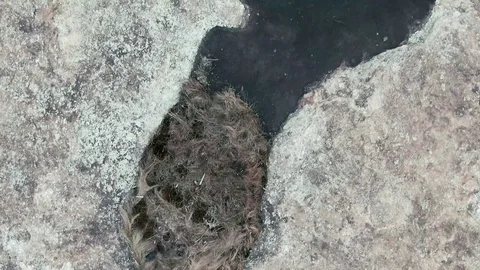 Arabia Mountain Clip Stock Footage 121212694