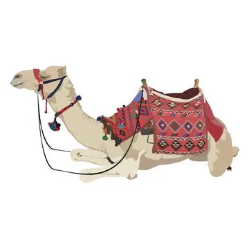 Arabian camel dromedary vector flat isolated illustration Stock Illustration
