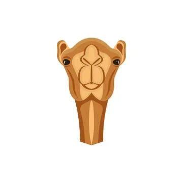 Arabian camel head cute close up portrait, dromedary one-humped camel vector  Illustrazione stock