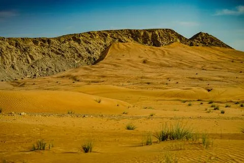 Arabian desert image Stock Photos