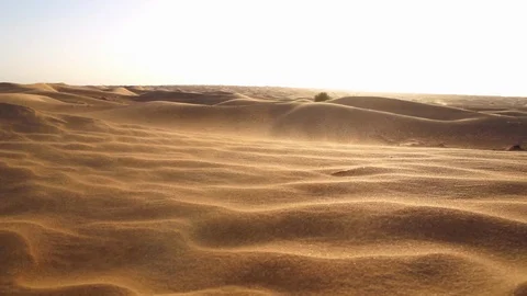 Arabian Sand Desert