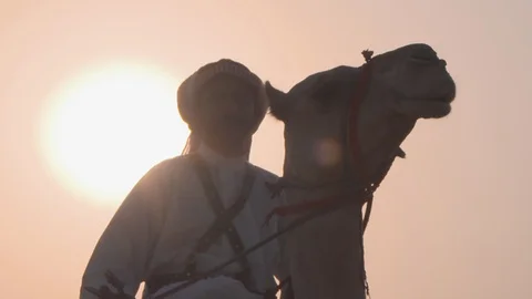 Arabian Man on Camel Stock Footage 95711443