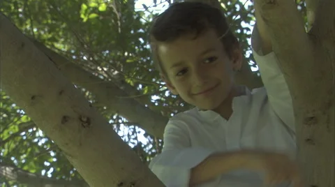 An Arabic boy playing on top of a tree. Stock Footage 46865442