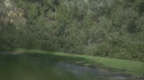 An Arabic couple walks through a park. Stock Footage 46865156