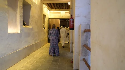 Arabic horse Stock Footage 104727324