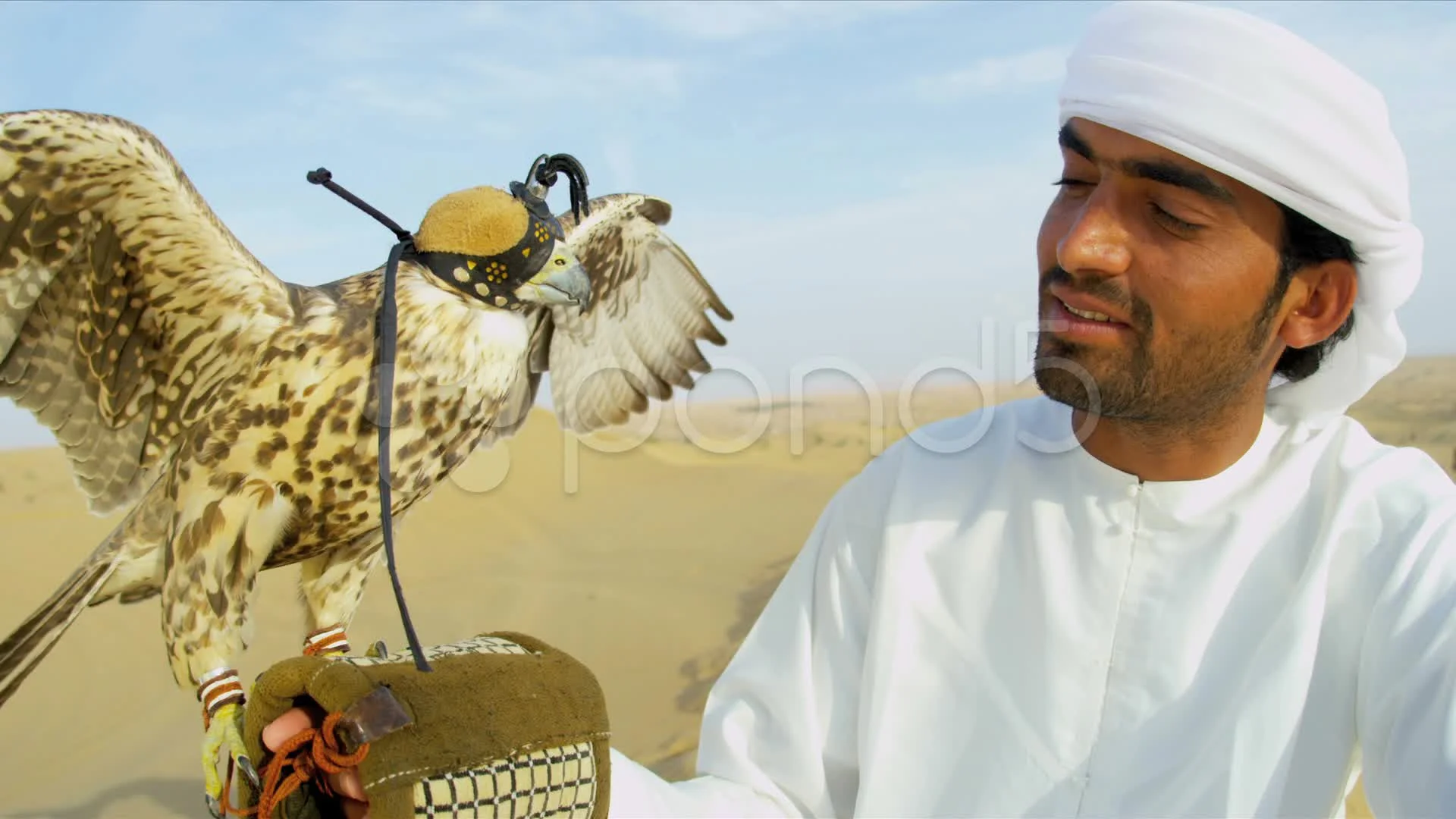 Arabic Male Falconer Trained Saker Falco... | Stock Video | Pond5 Arabic Male Falconer Trained Saker Falco... | Stock Video | Pond5