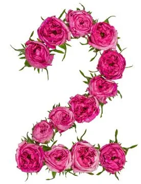 Arabic numeral 2, two, from red flowers of rose, isolated on white background Stock Photos
