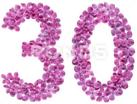 Arabic numeral 30, thirty, from flowers of lilac, isolated on white backgroun Stock Photos