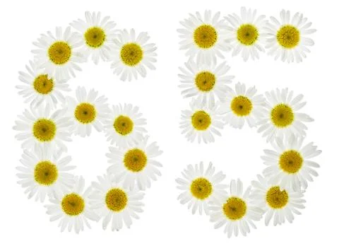 Arabic numeral 65, sixty five, from white flowers of chamomile, isolated on w Foto stock