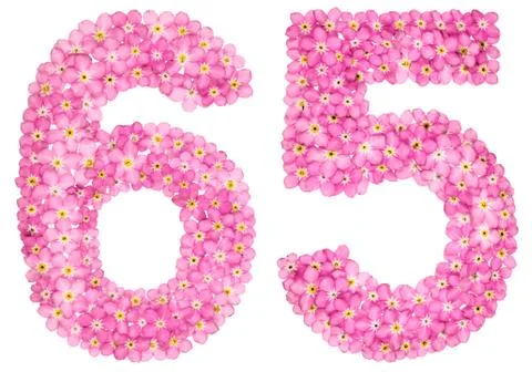 Arabic numeral 65, sixty five, from pink forget-me-not flowers, isolated on w Stock Photos