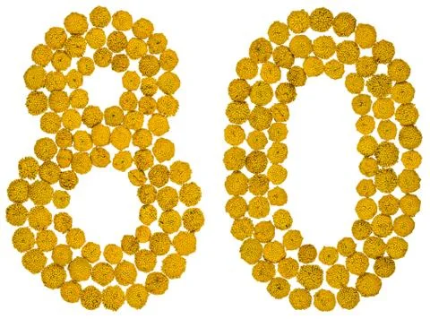 Arabic numeral 80, eighty, from yellow flowers of tansy, isolated on white ba Stock Photos