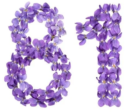 Arabic numeral 81, eighty one, from flowers of viola, isolated on white backg Stock Photos