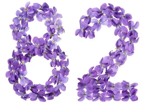 Arabic numeral 82, eighty two, from flowers of viola, isolated on white backg Stock-Fotos
