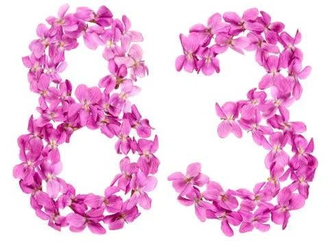 Arabic numeral 83, eighty three, from flowers of viola, isolated on white bac Stock Photos