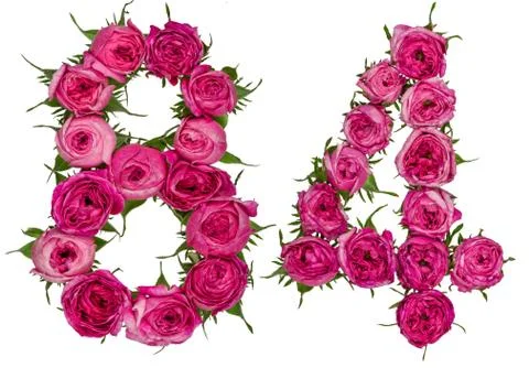 Arabic numeral 84, eighty four, from red flowers of rose, isolated on white b Stock Photos