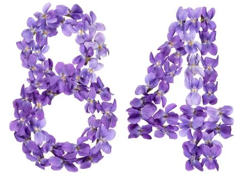 Arabic numeral 84, eighty four, from flowers of viola, isolated on white back Foto stock