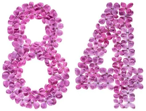 Arabic numeral 84, eighty four, from flowers of lilac, isolated on white back Stock Photos