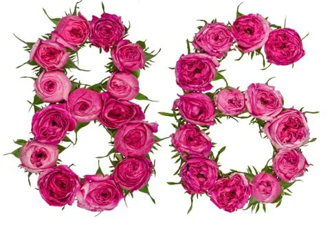 Arabic numeral 86, eighty six, from red flowers of rose, isolated on white ba Stock Photos