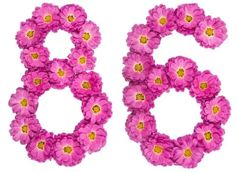 Arabic numeral 86, eighty six, from flowers of chrysanthemum, isolated on whi Stock Photos