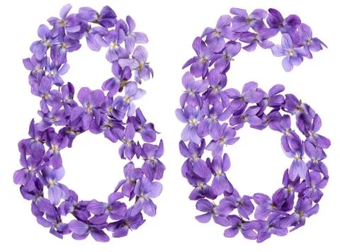 Arabic numeral 86, eighty six, from flowers of viola, isolated on white backg Stock Photos