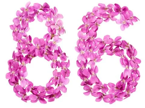 Arabic numeral 86, eighty six, from flowers of viola, isolated on white backg Stock Photos