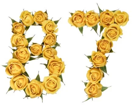Arabic numeral 87, eighty seven, from yellow flowers of rose, isolated on whi Stock Photos