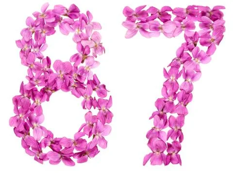 Arabic numeral 87, eighty seven, from flowers of viola, isolated on white bac Foto stock