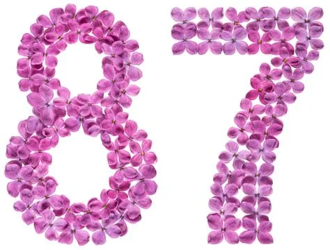 Arabic numeral 87, eighty seven, from flowers of lilac, isolated on white bac Stock Photos