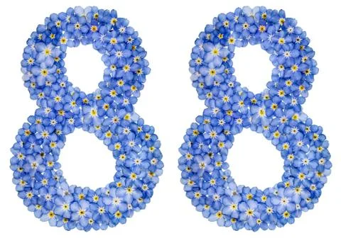 Arabic numeral 88, eighty eight, from blue forget-me-not flowers Stock Photos