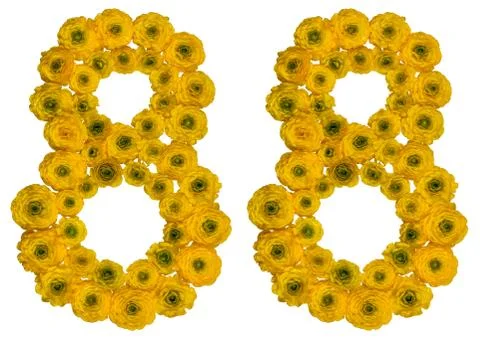 Arabic numeral 88, eighty eight, from yellow flowers of buttercup, isolated o Stock Photos