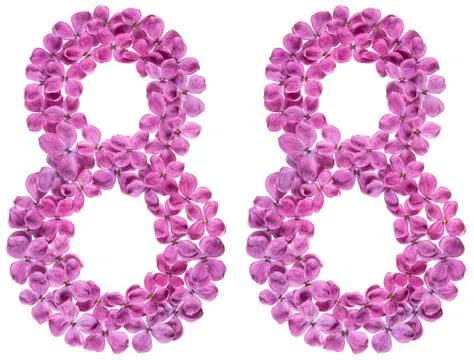Arabic numeral 88, eighty eight, from flowers of lilac, isolated on white bac Stock Photos
