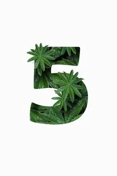 Arabic numeral five 5, isolated on a white background. Stock Photos