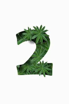 Arabic numeral two 2, isolated on a white background. Stock Photos