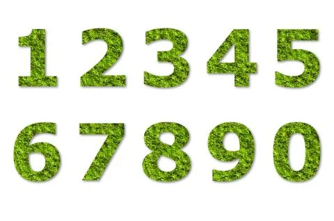 Arabic numeric of green lichen Stock Illustration