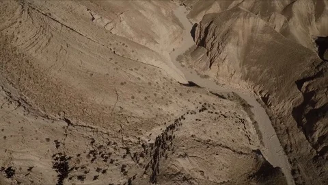Arabic shepherd take his sheeps in a desert Video stock 93725128