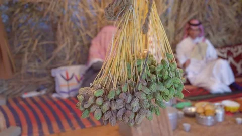 Arabic Traditional Hospitality (Saudi Arabia). Bedouin lifestyle.with dates Stock Footage
