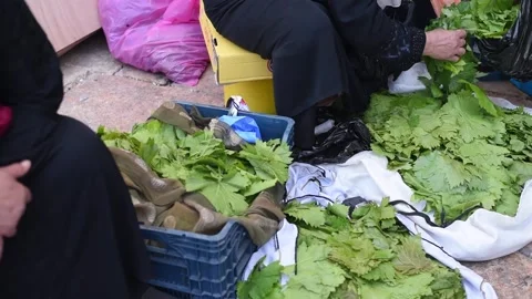 Arabic woman's hands put green grape leaves in black package. Stock Footage 243170242