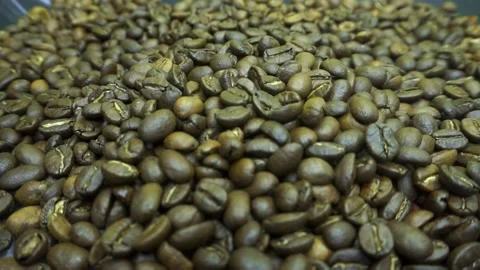 Arabica beans, roasted beans, coffee Stock Footage 166120409