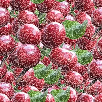 Arabica Stock Illustration