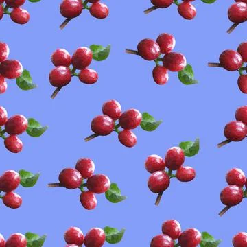 Arabica pattern Stock Illustration