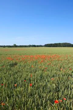 Arable countryside Stock Photos
