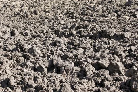 Arable field with black soil Stock Photos