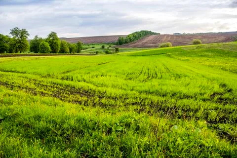 Arable field farm Stock Photos