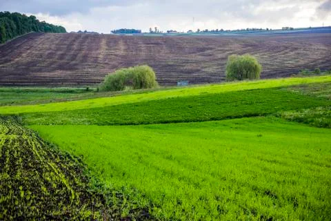 Arable field farm Stock Photos