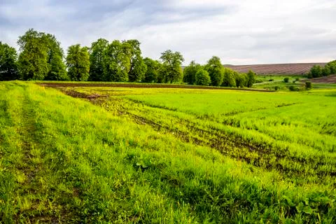 Arable field farm Stock Photos